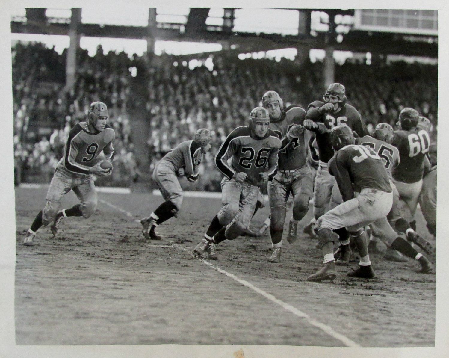 Frank Cope